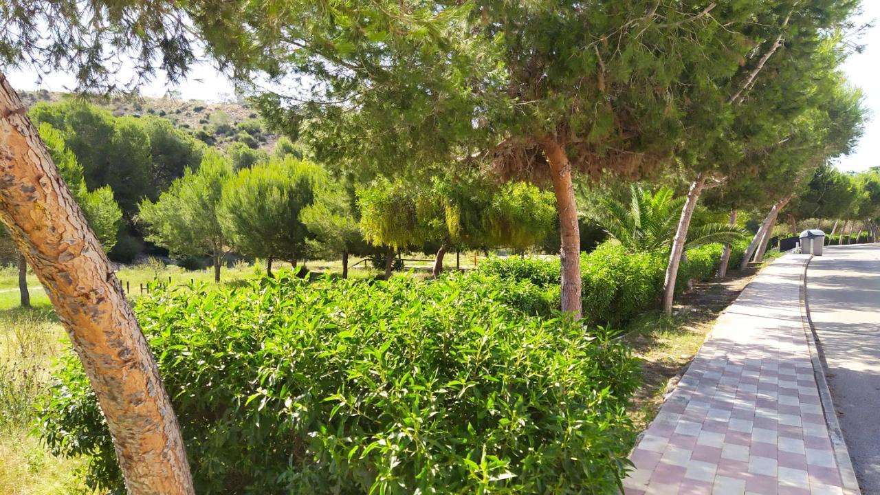 Alojamiento En Urb La Marina San Fulgencio エクステリア 写真