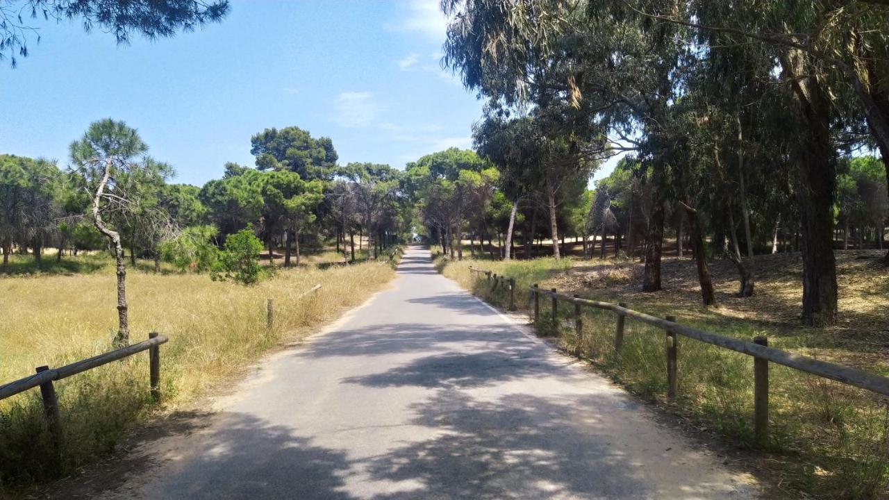 Alojamiento En Urb La Marina San Fulgencio エクステリア 写真